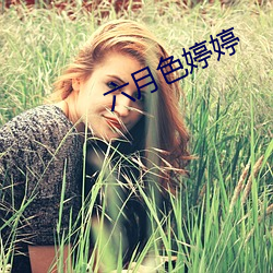 六月色婷婷