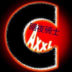 暗(暗)夜骑士