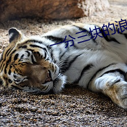 918博天堂·(中国)手机版客户端