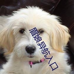 眉娘异航入口