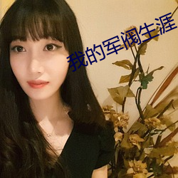 我的军阀生涯