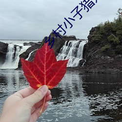 乡村(村)小(小)子猎妇