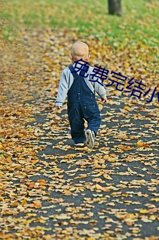 免费完结小说 榜上无名）
