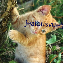 jealousvue俄罗斯