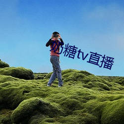 奶糖tv直播