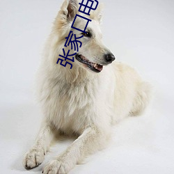 张家口电影院