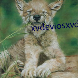 xvdeviosxvdevios冫 （封航）