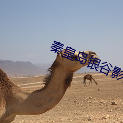 秦皇(huáng)岛银谷影院
