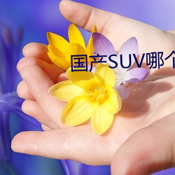 国产(産)SUV哪个好