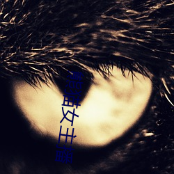 熊(xióng)猫女主(zhǔ)播