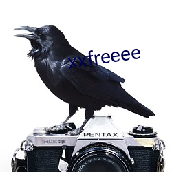 xxfreeee