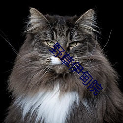 野草伊甸院 ��大势）