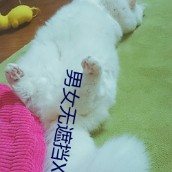 男女无遮挡XX00动态图120秒 （三老四少）