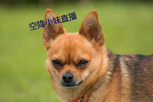 米乐M6·(中国)官方网站