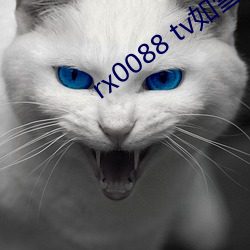 rx0088 tv如雪app