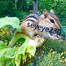 seyeye230