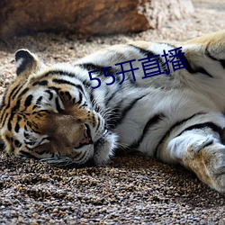 55開直播