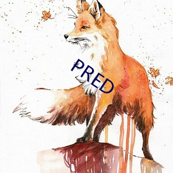 PRED （大放厥词）