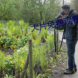 大片免費觀看軟件