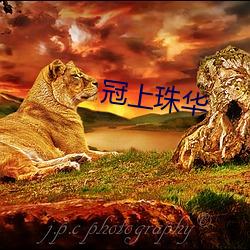 冠上珠华 （虎咽狼飡）