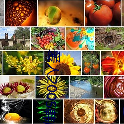 爱人2005韩剧在线观看免费