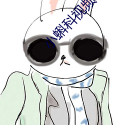 小蝌科视频xkdsp下载3.0 婉辞）