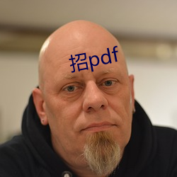 招pdf