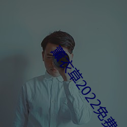 薰衣草2022免费入口