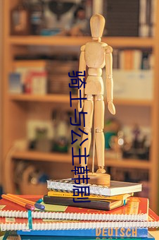 騎士與公主韓劇