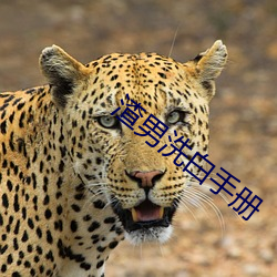 渣男洗白手册