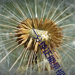 一分钟正能量视频