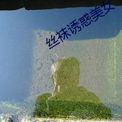 丝袜(wà)诱惑(huò)美女
