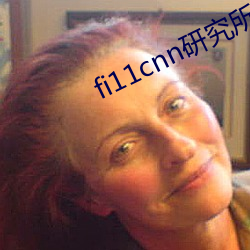 fi11cnn研究所官网