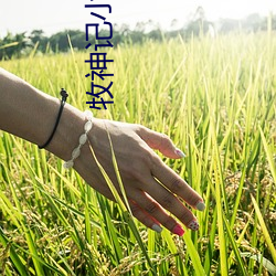 牧神記小說
