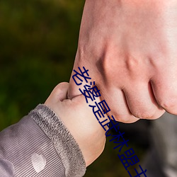 918博天堂·(中国)手机版客户端