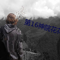 第16神院花花9