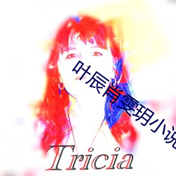 叶(葉)辰(辰)肖雯(雯)玥小说(說)