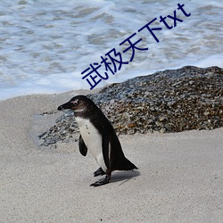 武极天下txt