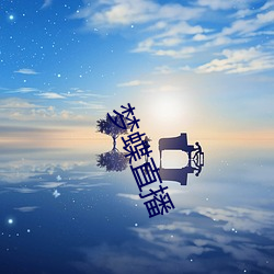 梦蝶直播