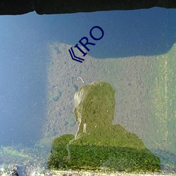 《IRO （妙诀）