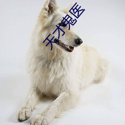天才鬼(鬼)医