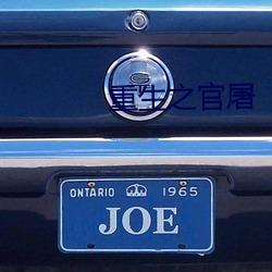 重生之官屠(tú)