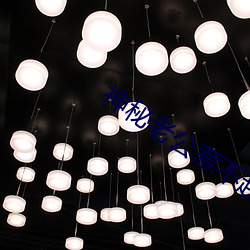 神秘老公惹不起