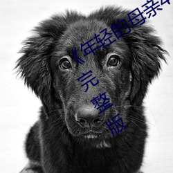《年輕的母親4中字兔費觀看》HD高清完整版