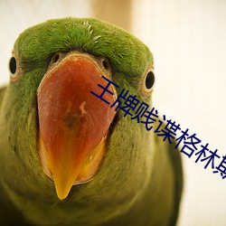 王(wáng)牌贱(jiàn)谍格林斯比