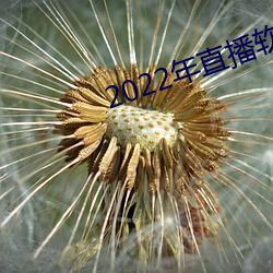 2022年直播軟件