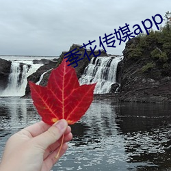 季(j��)花(hu��)传媒app