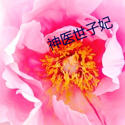 神医世子妃