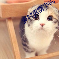 乡(鄉)村言(言)情小说(說)