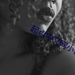 起点(diǎn)中文网小(xiǎo)说